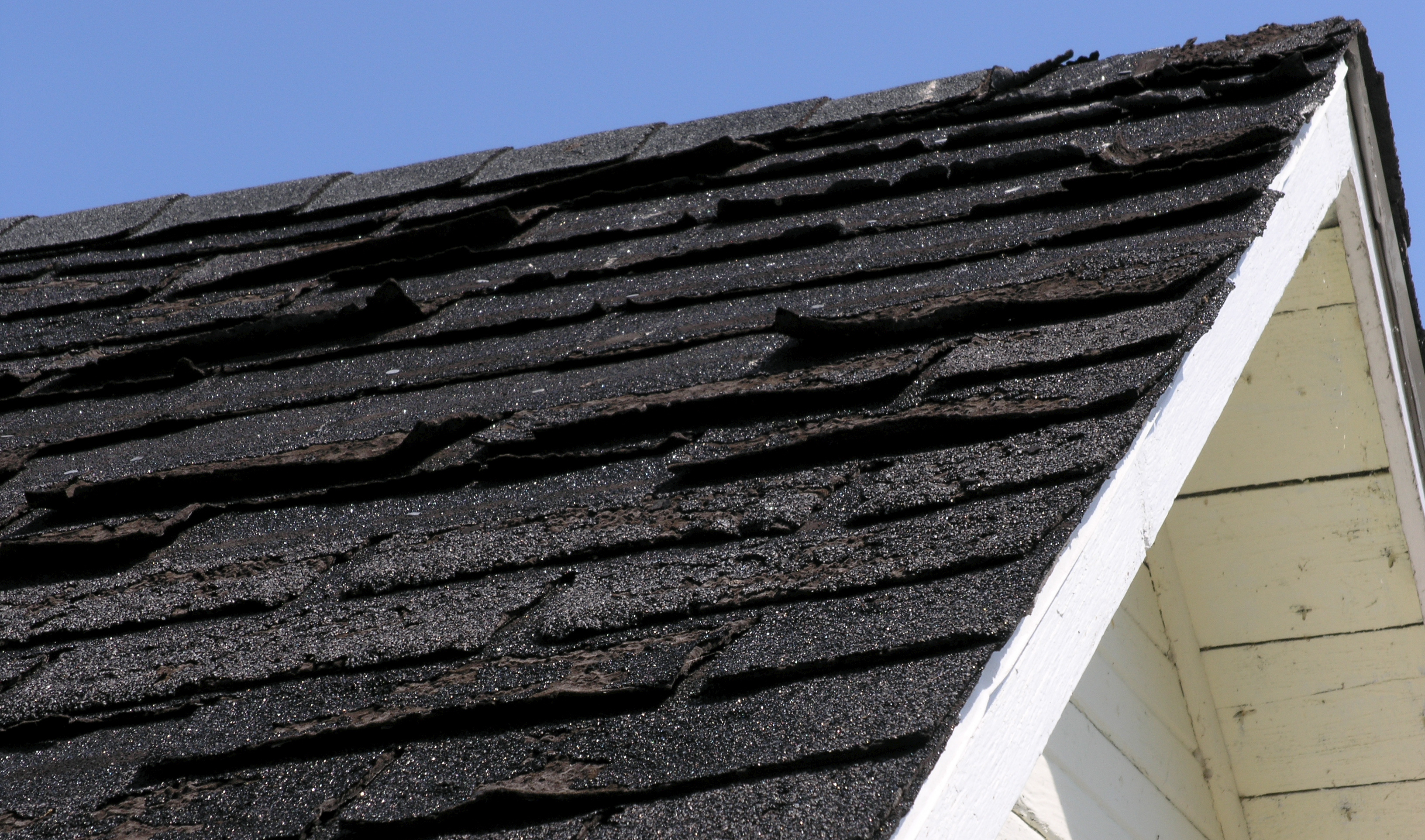 damaged roof shingles